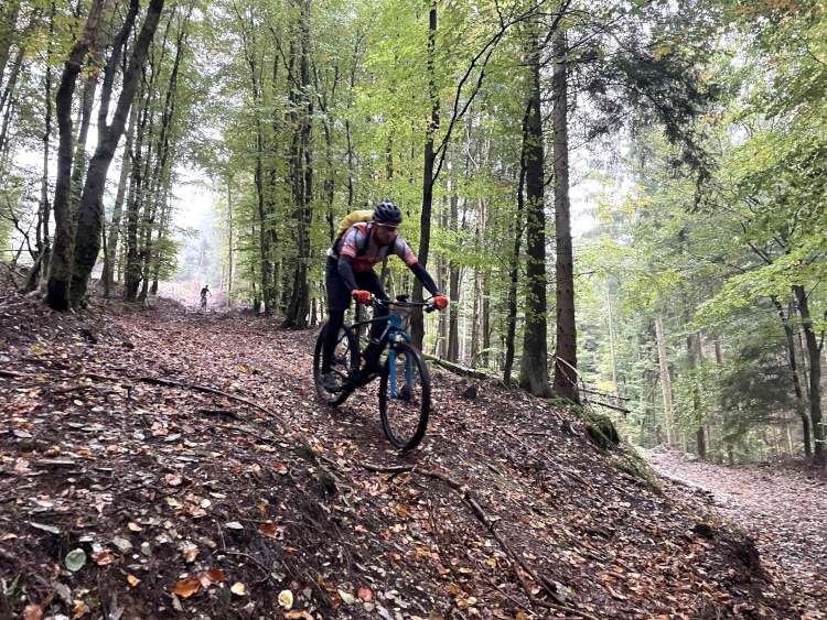 HochSauerland trails