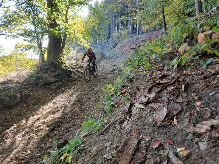 HochSauerland trails