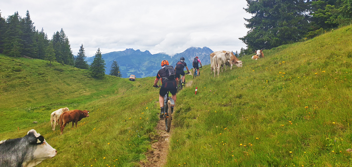 Alpentour Amadé + Panorama