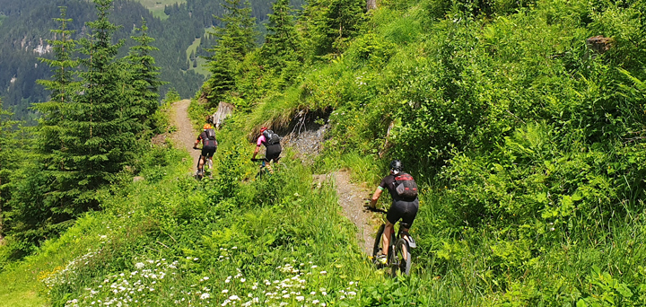 Alpentour Amadé + Panorama