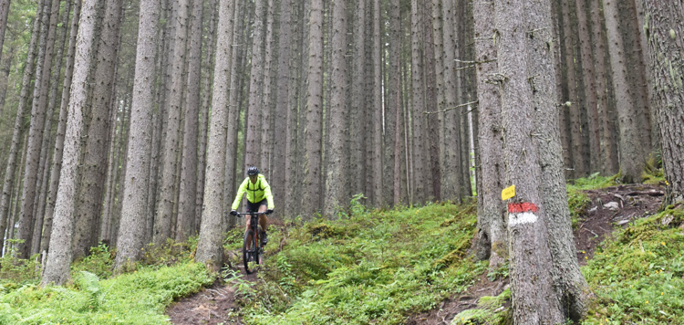 Alpentour Amadé + Panorama juli