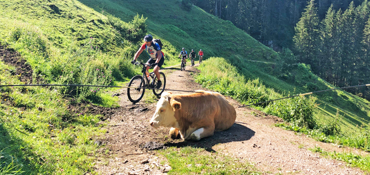 Tauern TransAlp