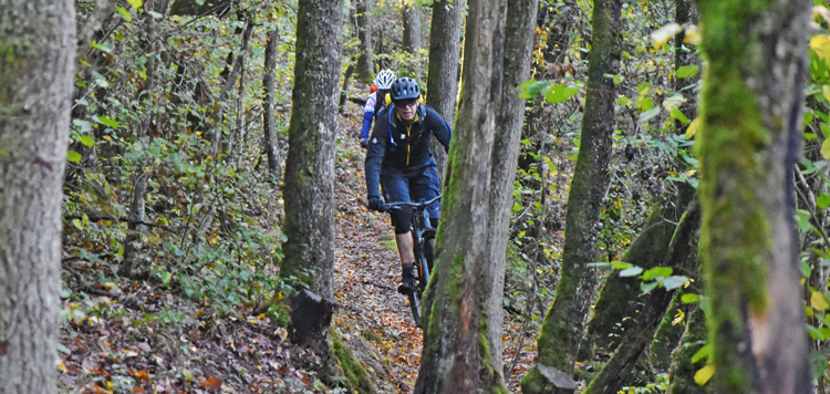 Luxemburg trails