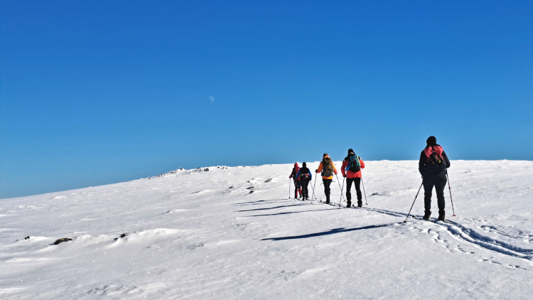 Backcountry Trekking Zweden