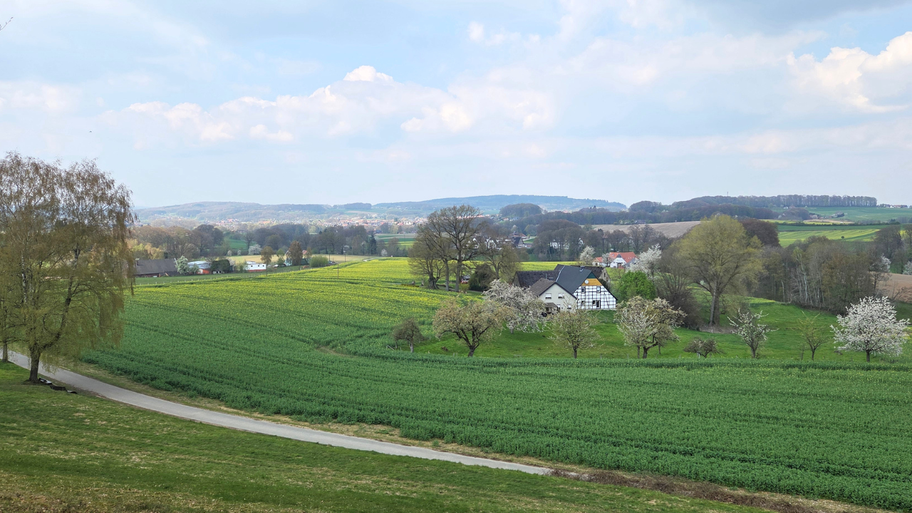 De omgeving rond Tecklenburg