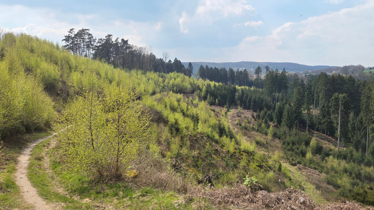 Het Teutoburgerwald