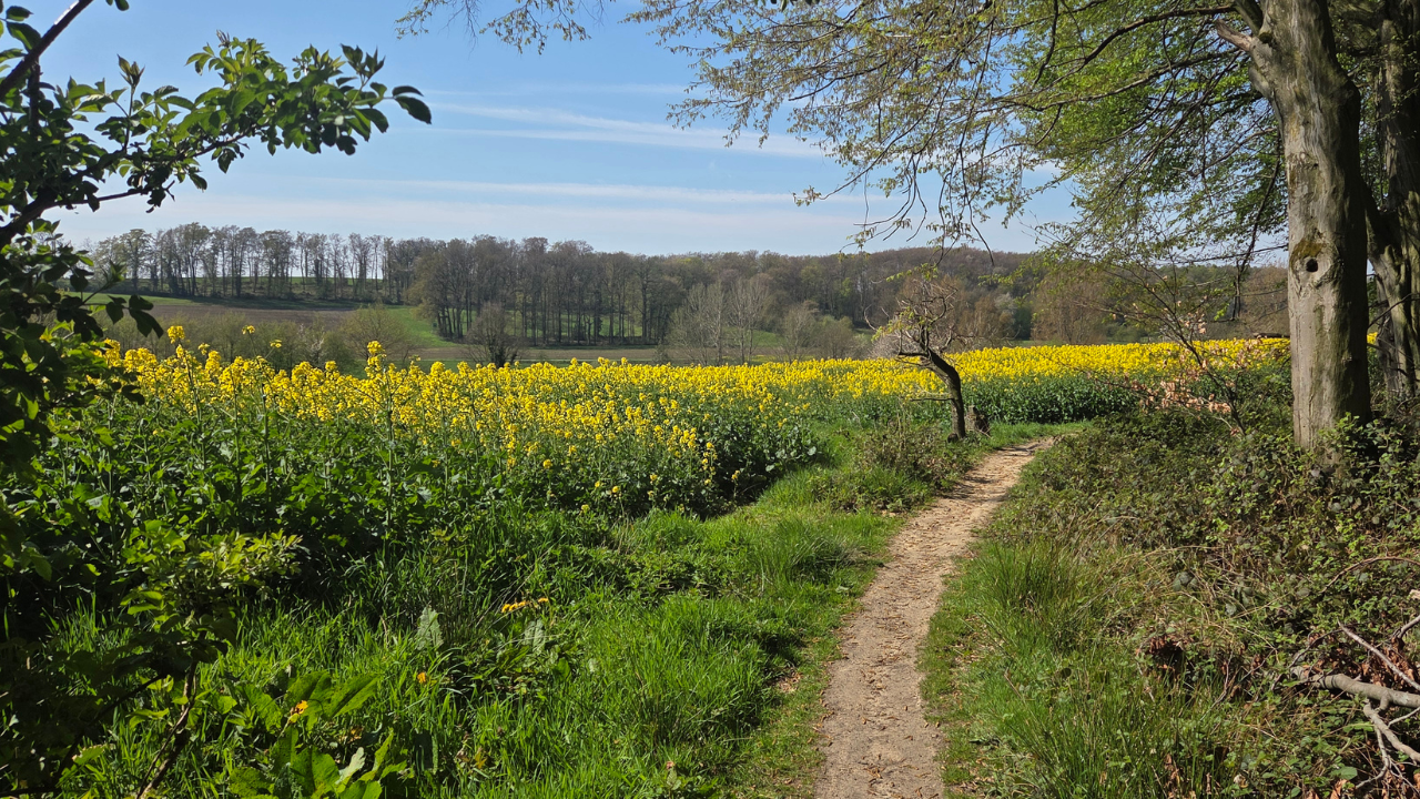 Lente omgeving