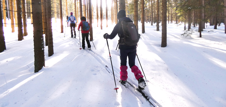 Langlaufen in het Bayerische Wald