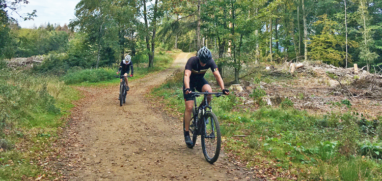 Bielefeld trails