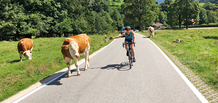 Racefietsen in Salzburgerland