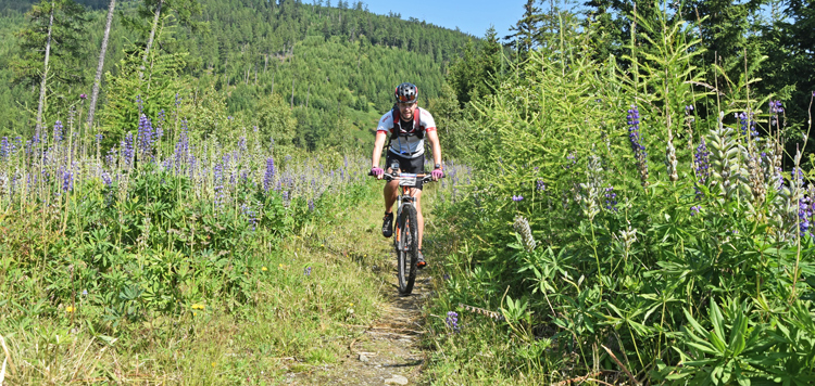 Tauern TransAlp