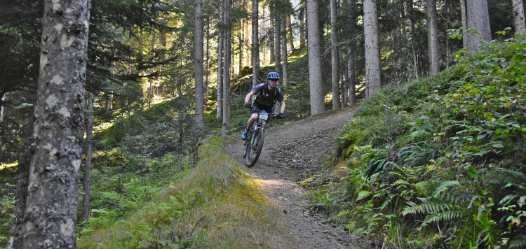 Hochkönig Hütten Runde MTB 2021