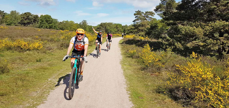 Gravelbiken TransHeuvelrug