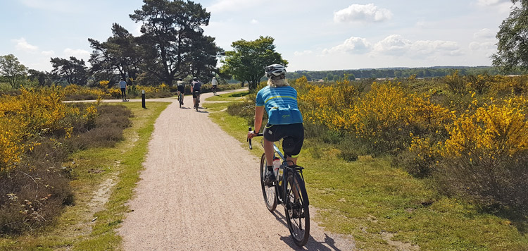 Gravelbiken TransHeuvelrug