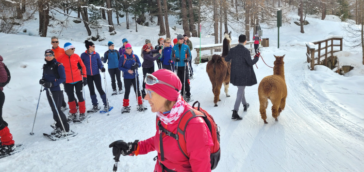 Winterintro Livigno