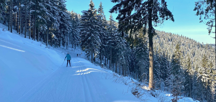 Skatingcursus Thüringen