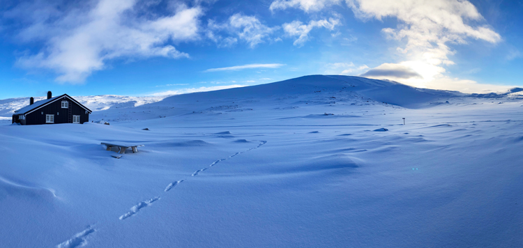 Panorama Dovrefjell