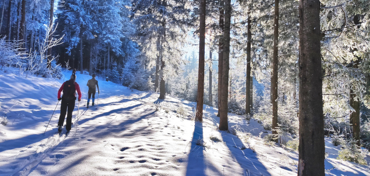 Backcountrycursus Schwarzwald