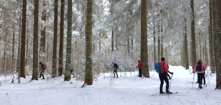 Backcountrycursus Schwarzwald