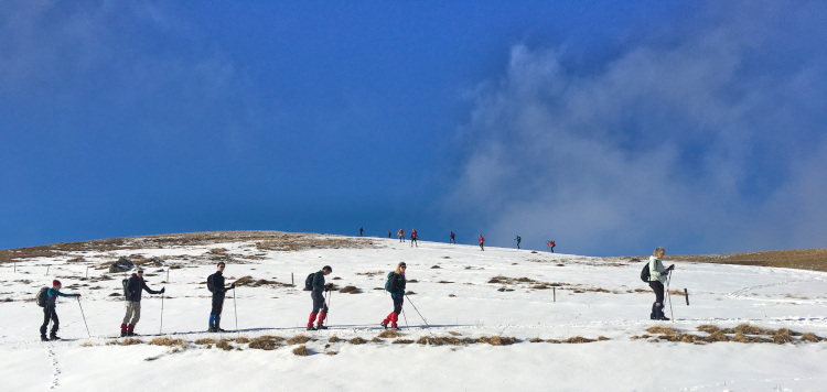 Backcountrycursus Schwarzwald