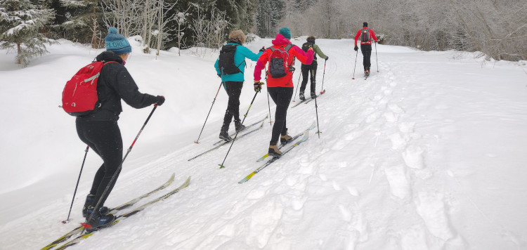 Backcountrycursus Schwarzwald