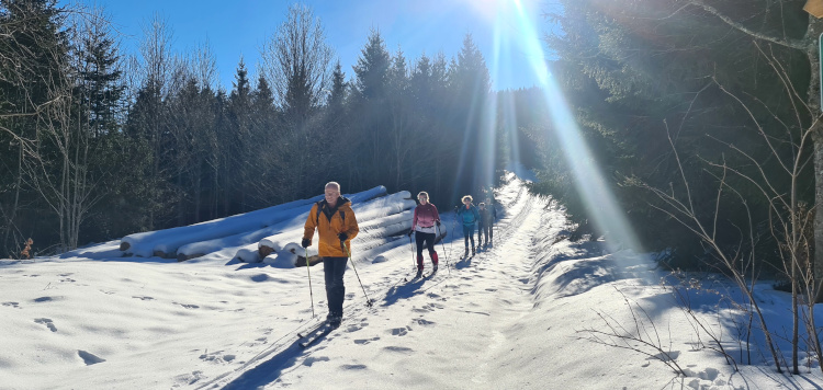 Backcountrycursus Schwarzwald