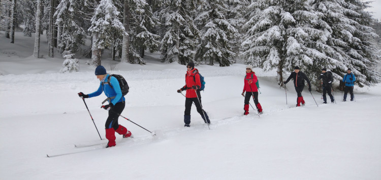 Backcoutntry Trekking Sumava