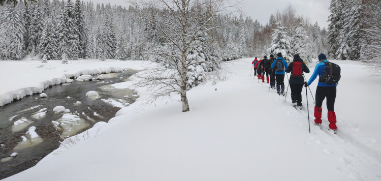 Backcoutntry Trekking Sumava