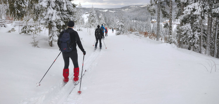 Backcoutntry Trekking Sumava