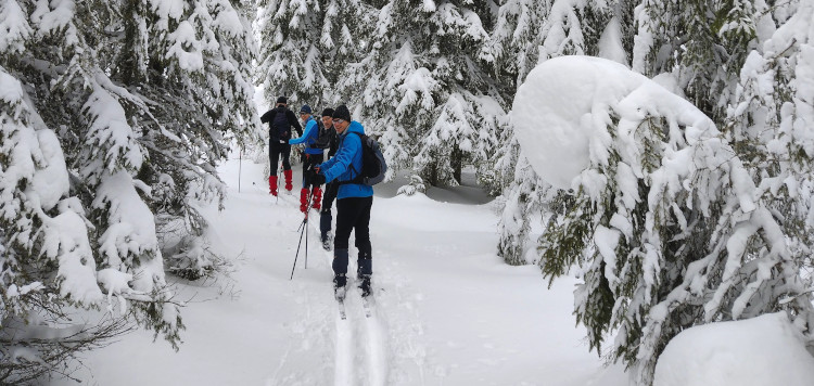 Backcoutntry Trekking Sumava