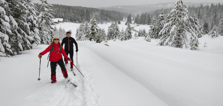 Backcoutntry Trekking Sumava