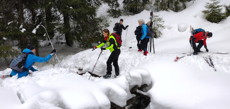 Backcoutntry Trekking Sumava