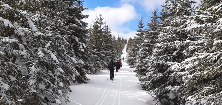 Backcoutntry Trekking Sumava