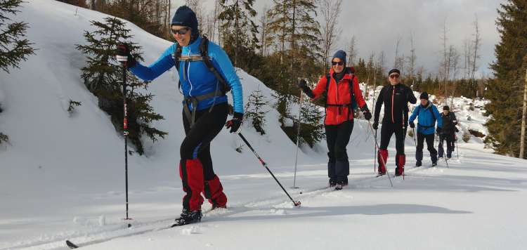 Backcoutntry Trekking Sumava