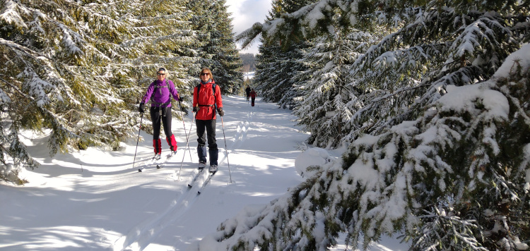 Backcoutntry Trekking Sumava