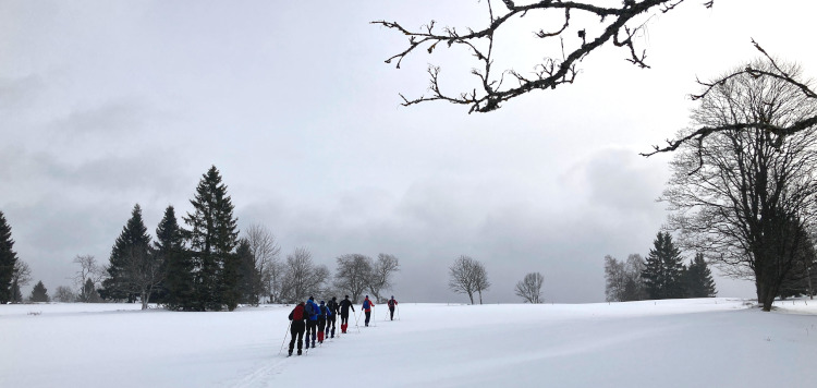 Backcoutntry Trekking Sumava