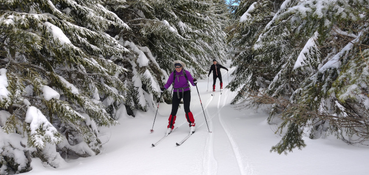 Backcoutntry Trekking Sumava