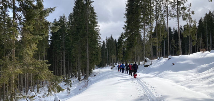 Backcoutntry Trekking Sumava