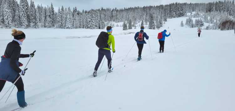 Langlauftrekking Sumava