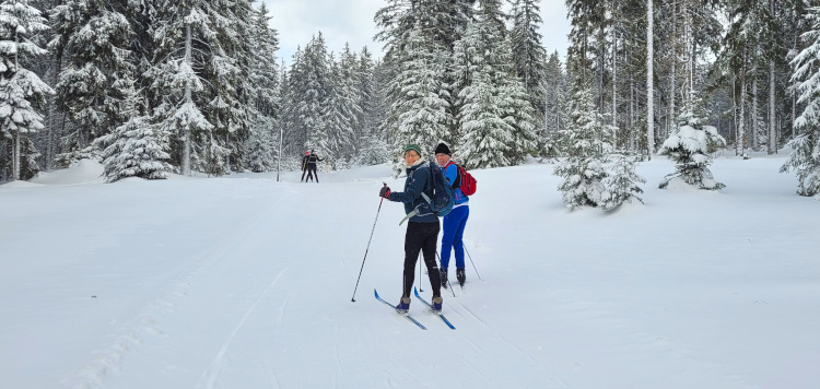 Langlauftrekking Sumava