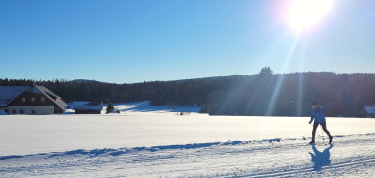 Langlauftrekking Sumava