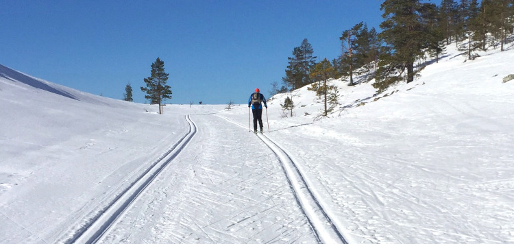 Lapland Yllas Levi