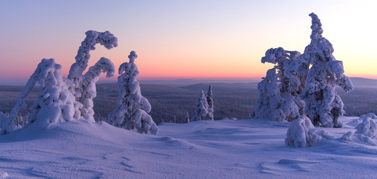 Lapland Yllas Levi