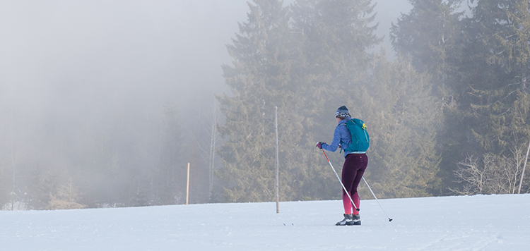 Langlaufcursus Schwarzwald