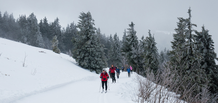 Langlaufcursus Schwarzwald