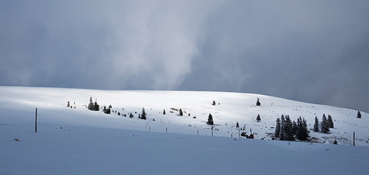 Langlaufcursus Schwarzwald