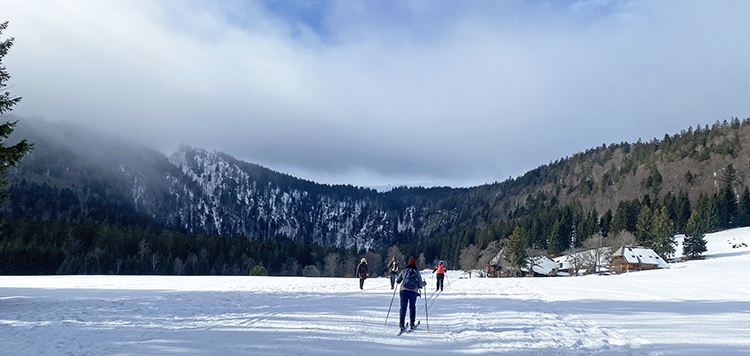 Langlaufcursus Schwarzwald