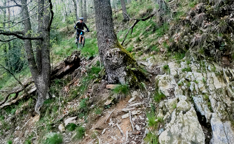 Enduro Solingen