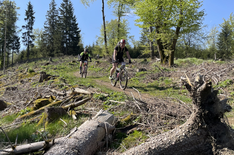 HochSauerland trails