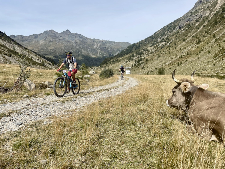 Giro Stelvio